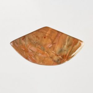 Carasite