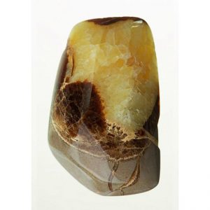 Septarian