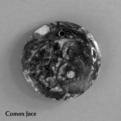 Picasso Ammonite Drilled Pendant