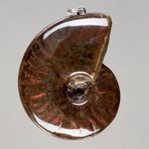 Opalized Ammonite Pendant