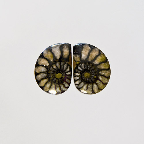Brown Ammonite in Matrix Pair