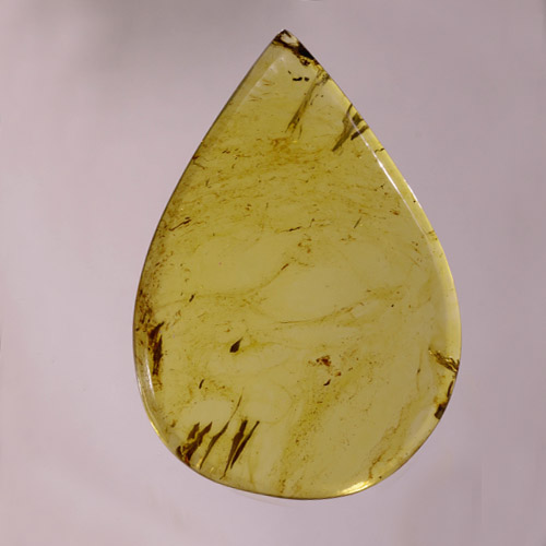 Chiapas Amber